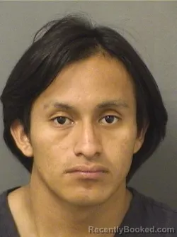 Mugshot of Geisly Neftali Gomezdomingo booked in Palm Beach County, Florida on October 11, 2026