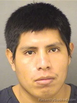 Mugshot of Marcos Hernandezcastro booked in Palm Beach County, Florida on October 11, 2026