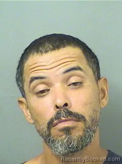 Mugshot of Adrian Perezduenas booked in Palm Beach County, Florida on October 11, 2026