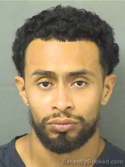 Mugshot of Dennis J Castellanos booked in Palm Beach County, Florida on October 11, 2026