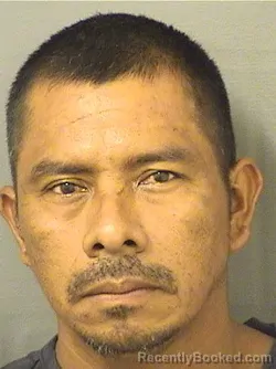Mugshot of Jose Mariaangel Gonzalezcoche booked in Palm Beach County, Florida on October 12, 2026
