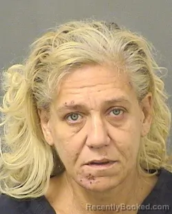 Mugshot of Linda Ann Davanzo booked in Palm Beach County, Florida on October 13, 2026