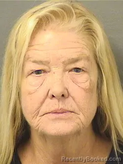 Mugshot of Pamela Sue Lamb booked in Palm Beach County, Florida on October 13, 2026