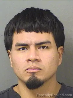 Mugshot of Sebastian Michael Rodriguez booked in Palm Beach County, Florida on October 13, 2026