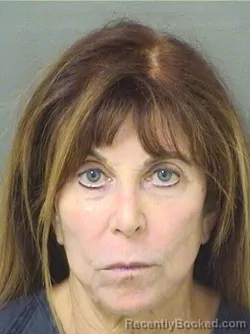 Mugshot of Ann D Stoller booked in Palm Beach County, Florida on October 13, 2026