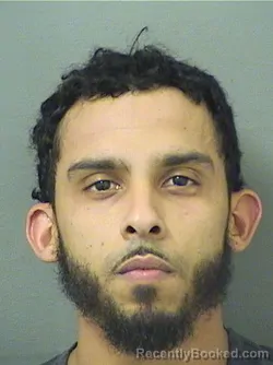Mugshot of Anton Manuel Sepulveda booked in Palm Beach County, Florida on October 13, 2026