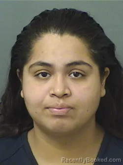 Mugshot of Diana Alonso Ayala booked in Palm Beach County, Florida on October 14, 2026