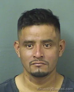 Mugshot of Jose Lopezroblero booked in Palm Beach County, Florida on October 19, 2026