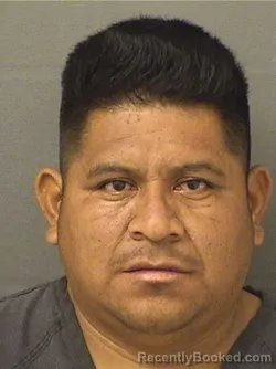 Mugshot of Juan Felipedomingo booked in Palm Beach County, Florida on October 19, 2026