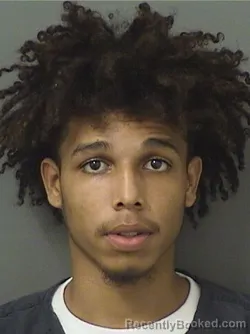 Mugshot of Cameron Zachreas Horne
