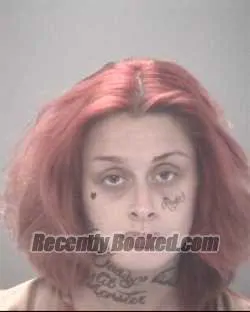 Booking photo from Pasco County, Florida