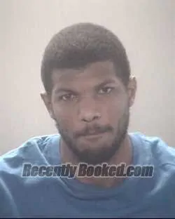 Booking photo from Pasco County, Florida