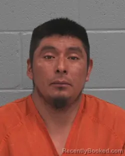 Booking photo from Pasco County, Florida