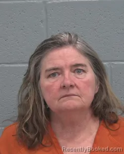 Mugshot of LINDA PATRICIA PETRILLO