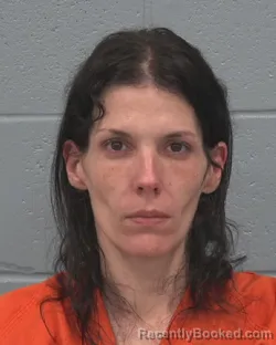 Mugshot of AMANDA JEAN VELEZ