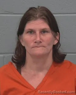 Mugshot of JONI MARIE SCHEFFEL