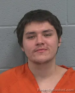 Mugshot of CAMERON SUMNER