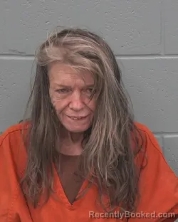 Mugshot of DAWN MARIE LEWIS