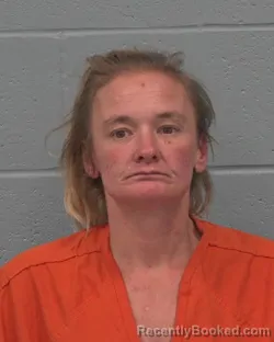 Mugshot of ASHLEY NICOLE RAY