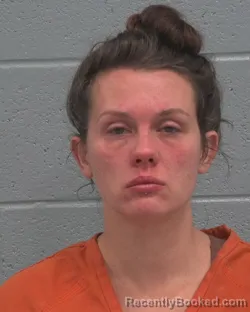 Mugshot of LISA ANN LUNA