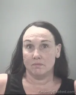 Mugshot of JESSICA JEAN FERRIN