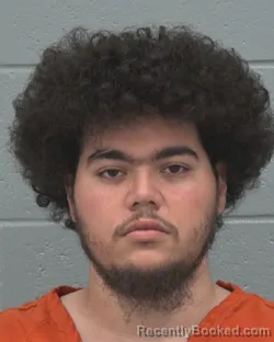 Mugshot of THOMAS WILLIAM TIGER