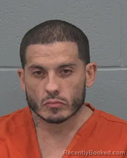 Mugshot of DAVID ORTIZ