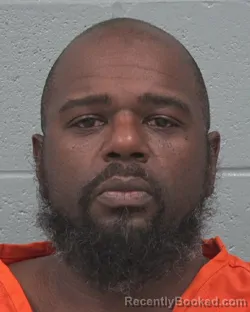 Mugshot of PATRICK LANE VIVERETTE