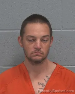 Mugshot of BRIAN ALLYN GEER