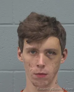 Mugshot of DILLON GERALD HALLADAY-GRIFFIN booked in Pasco County, Florida on March 5, 2026