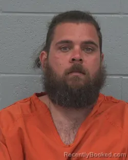 Mugshot of DAVID PAUL EVANS booked in Pasco County, Florida on March 5, 2026