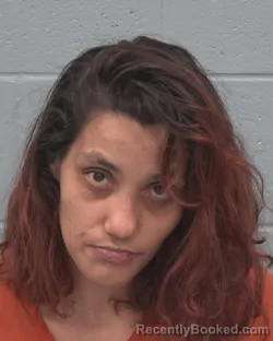 Mugshot of ELIZABETH MARIA MENDOZA booked in Pasco County, Florida on March 5, 2026