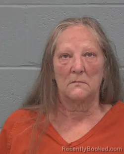 Mugshot of MARGARET JO CONNOR booked in Pasco County, Florida on March 7, 2026