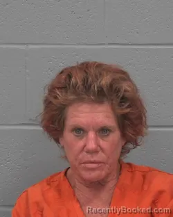 Mugshot of ANNE CAROLYN CIMADOR-BOWMAN booked in Pasco County, Florida on March 8, 2026