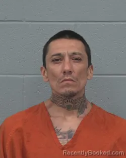 Mugshot of GEORGE D LABAR booked in Pasco County, Florida on March 9, 2026