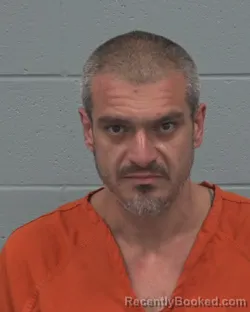 Mugshot of JOEL R CESPEDES