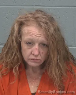 Mugshot of CHRISTINA LEA PELLETIER