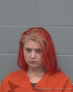 Mugshot of SHAYLA JEAN ROARK booked in Pasco County, Florida on March 11, 2026