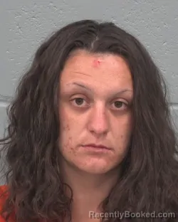 Mugshot of JULIANNA MARIE ROOT