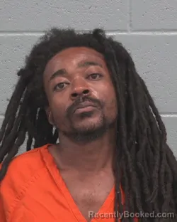 Mugshot of FREDDIE LEE DAVIS