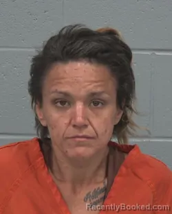 Mugshot of STEPHANIE ANGIUS booked in Pasco County, Florida on March 15, 2026