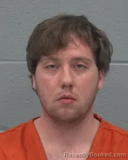 Mugshot of JULIAN PIPER ELLIS booked in Pasco County, Florida on March 15, 2026