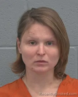 Mugshot of ELENA NATALIE TEAL booked in Pasco County, Florida on March 17, 2026