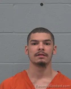 Mugshot of TYSON JACOB JACKSON booked in Pasco County, Florida on March 17, 2026