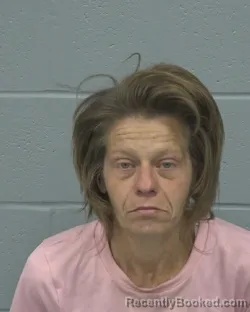 Mugshot of STEPHANIE RENEE HOFFMAN booked in Pasco County, Florida on March 17, 2026