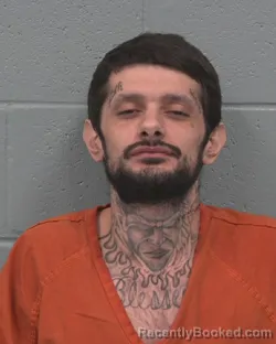 Mugshot of PAUL ANTHONY WILLIS booked in Pasco County, Florida on March 17, 2026