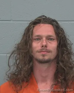 Mugshot of MONTANA MILLS booked in Pasco County, Florida on March 17, 2026