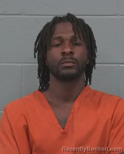 Mugshot of M`CHAI ADRIAN ROSERIE booked in Pasco County, Florida on March 19, 2026