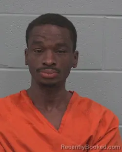 Mugshot of SCOTT GREGORY RIDLEY booked in Pasco County, Florida on March 19, 2026