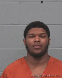 Mugshot of AMARI CHARLES FRANCOIS booked in Pasco County, Florida on March 19, 2026